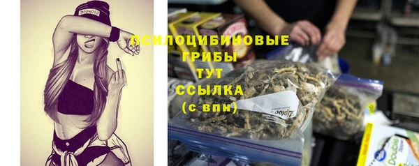 первитин Бородино