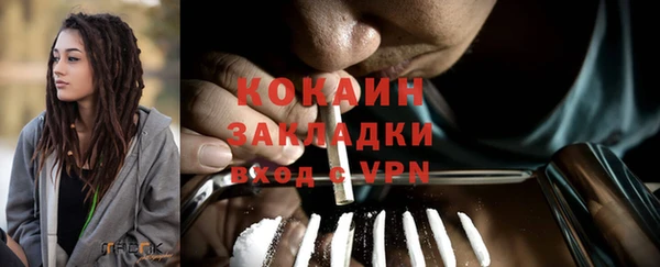 бошки Бронницы