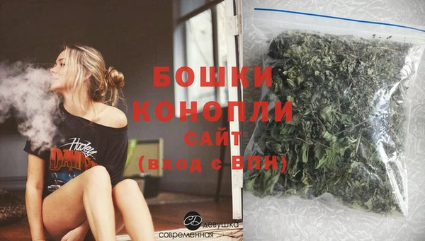бошки Бронницы