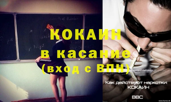 бошки Бронницы