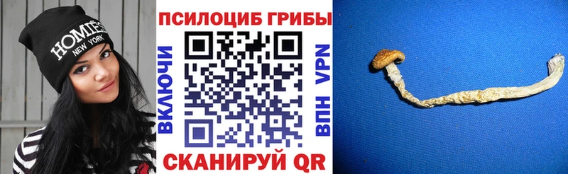 Псилоцибиновые грибы мицелий  Ясногорск 